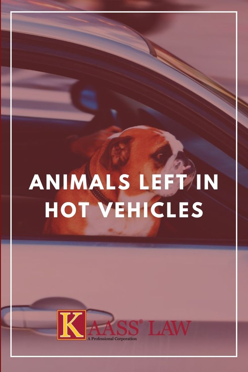 Animals Left in Hot Vehicles