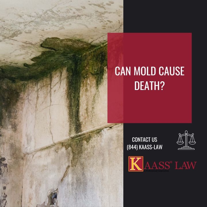 Can Mold Poisoning Cause Death?