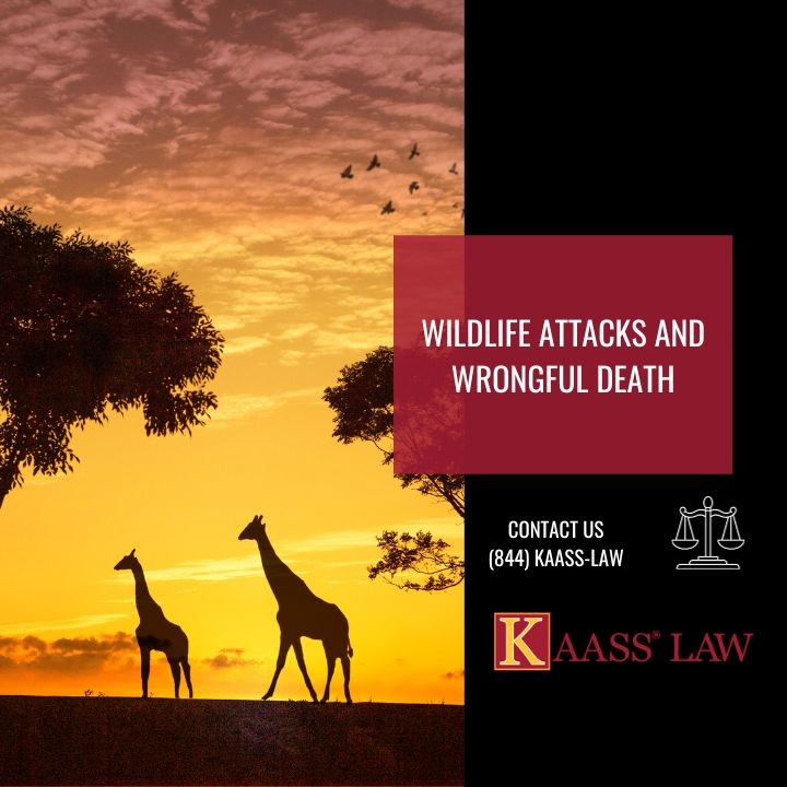 Wildlife Attacks and Wrongful Death