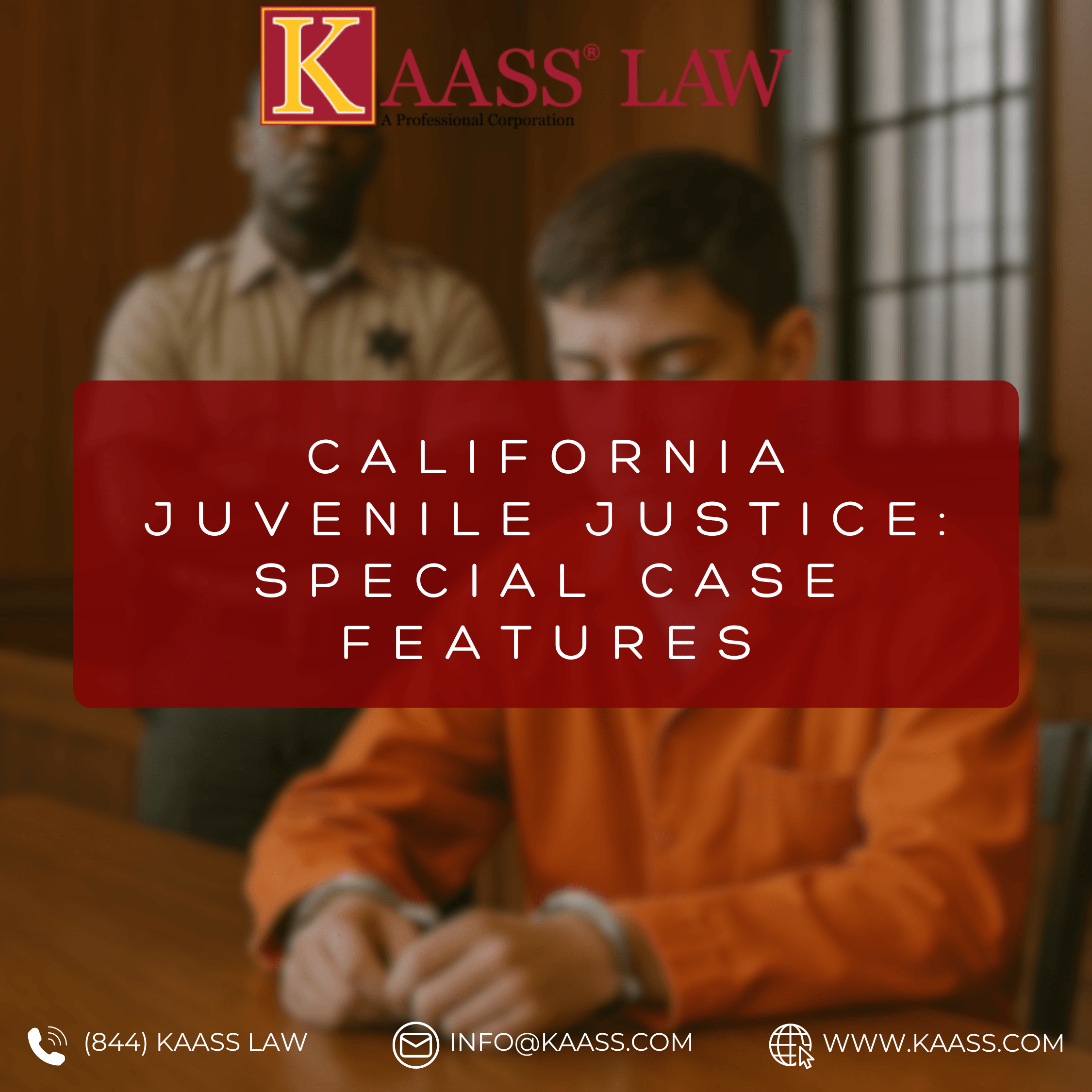 California Juvenile Justice: Special Case Features