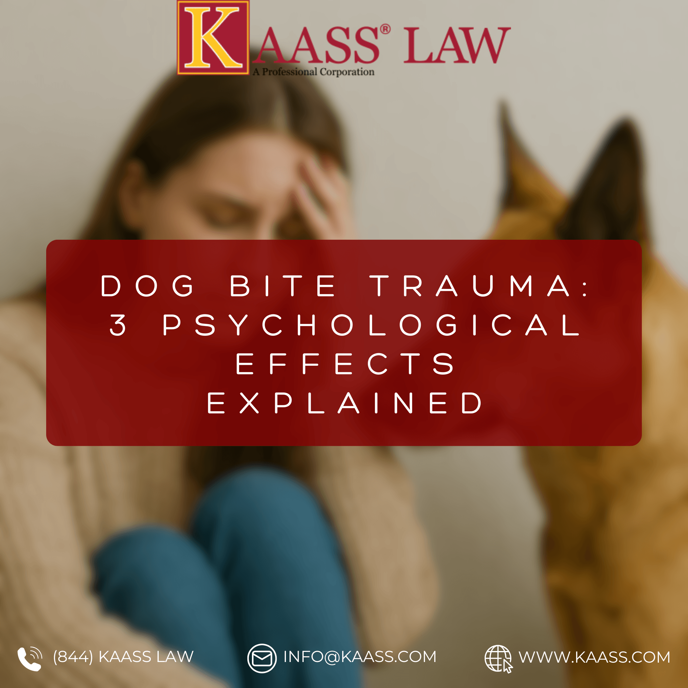 Dog Bite Trauma: 3 Psychological Effects Explained