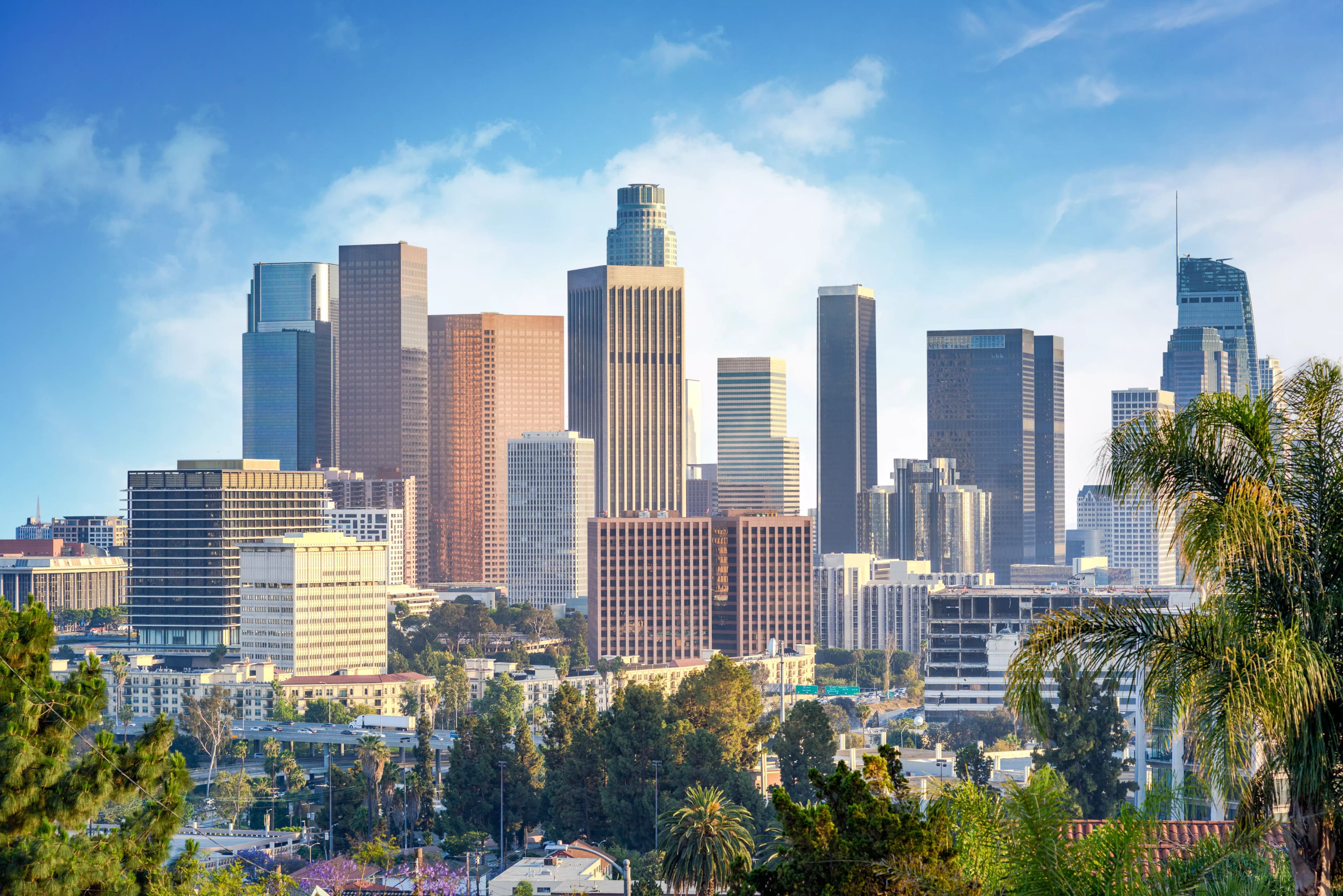Los Angeles Skyline